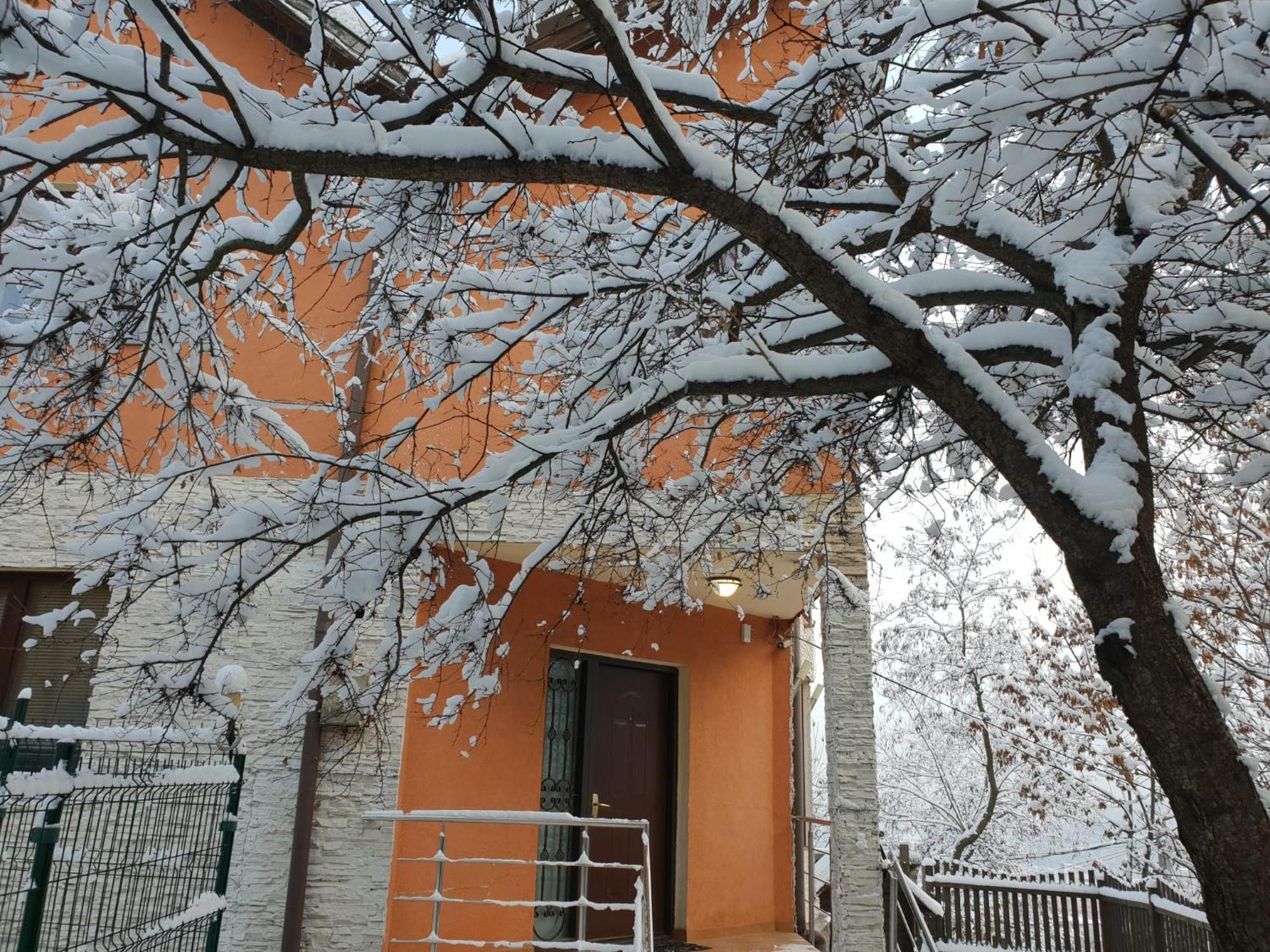 Tampa * Brasov