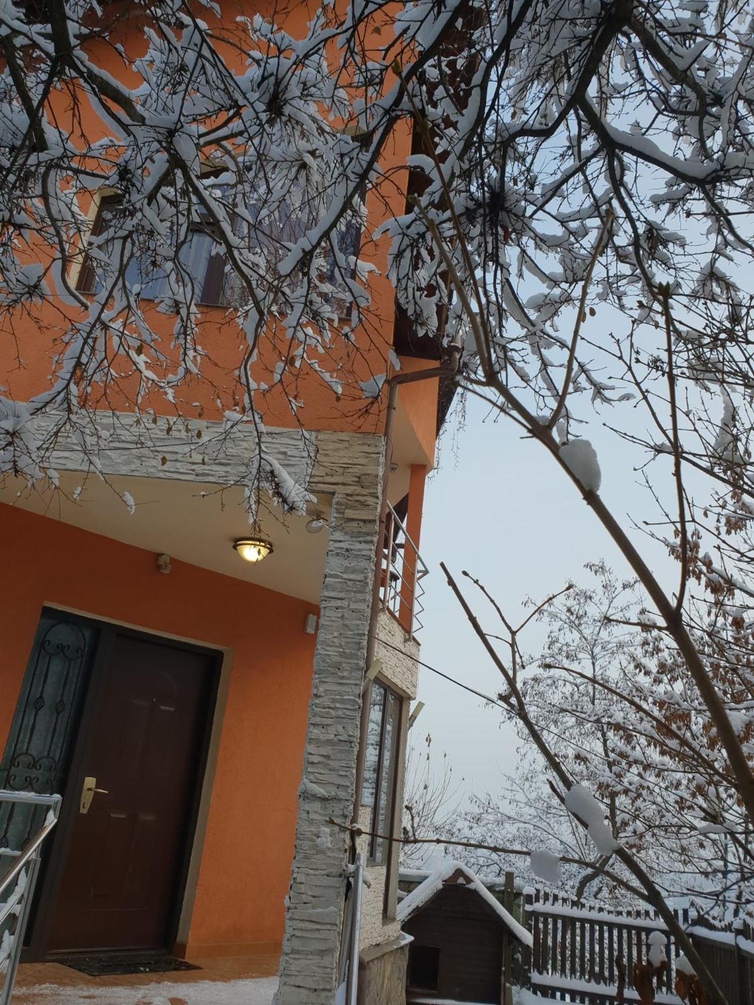 Tampa Brasov